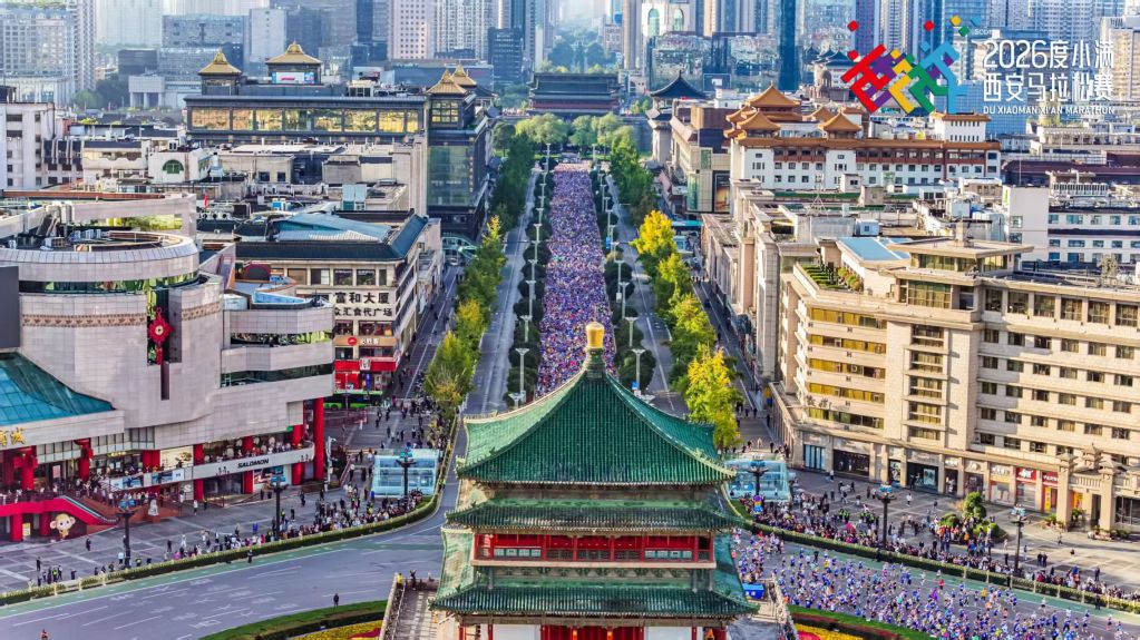 bevictor伟德展示图片